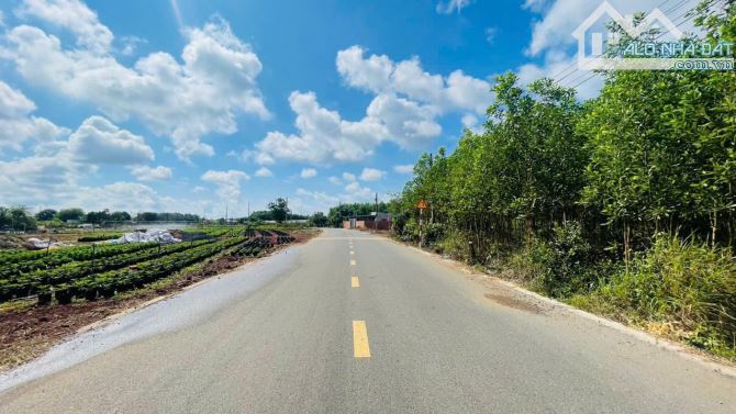 ĐẤT F0 ĐỐI DIỆN CỔNG KCN ĐẤT ĐỎ💰GIÁ TỐT 900TRIỆU  📐Diện tích - 2
