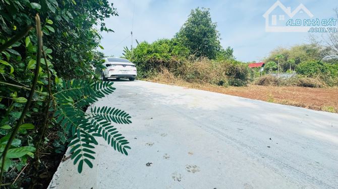 485m2 Đất Xã Đất Đỏ Ngay Gần Trung Tâm Hành Chính 💰Giá Chỉ 1,7 Tỷ  📐Dt: ngang 7.3x38m - 2