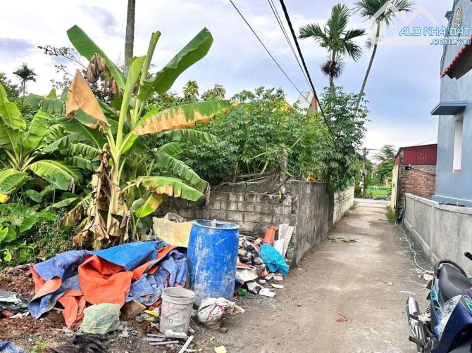 Bán Đất Ngũ Đoan - Kiến Thụy - Hải Phòng - 2
