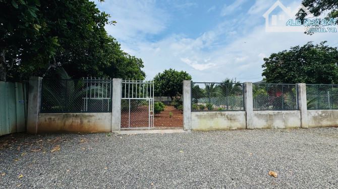LONG TÂN - ĐẤT ĐỎ - BRVT  🌈DT 1765M2 - ngang 43m x 40m -100tc sẵn, cách chợ, trường học - 2