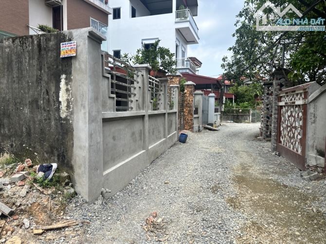 BÁN ĐẤT ĐÔNG ANH - PHÚC THỊNH - NGUYÊN KHÊ - Ô TÔ 16 CHỖ -GIÁ RẺ. - 2