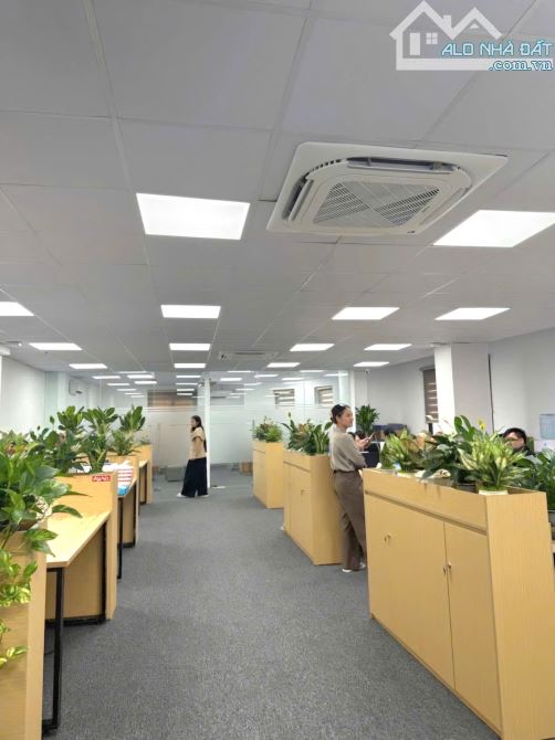 BUILDING 7 tầng 1 hầm, 2 tháng máy, mặt tiền 16m, 288m2, 125 t.ỷ tại Lạc Long Quân - 2