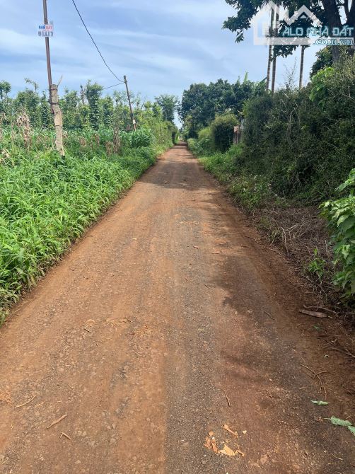 🅿️❇️Đất Kotam, Eatu, phường Tân An hẻm cấp 1 Quốc Lộ 26, 750 triệu, 5x25m❇️ - 2