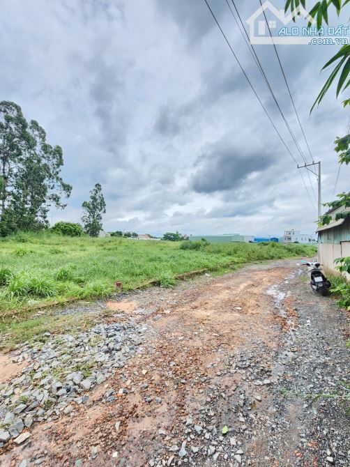 2,85Tỷ TL🔥Bán đất 241,1m2 cách đường Trần Văn Ơn 200m, p.Tân Phước Khánh, Tp.Tân Uyên - 2