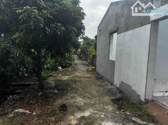 nhỉnh 3 tỷ cho lô đất tại kim ngưu, tân tiến đường 4m ô tô thông cạnh trường bách khoa - 2