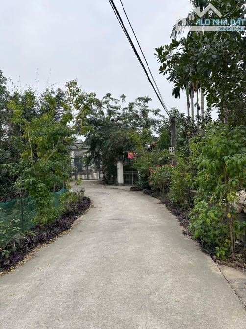 Bán lô đất thôn2 Ba Trại 442M_75M đất ở mặt tiền 14M nở hậu đẹp_nhỉnh 2 tỷ - 2