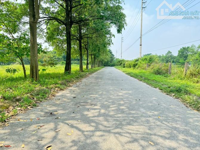 Bán đất KDT Hà Phong, Tiền Phong, Mê Linh. Gần trường DH Tài Chính và KDT Cienco 5 - 2
