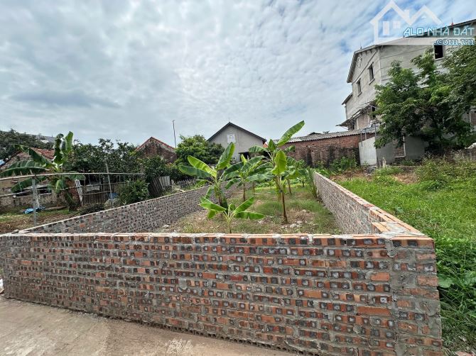 🔥 RẺ NHẤT KHU VỰC- CHỈ 64TR/M²! CHỐT NHANH ĐẤT KIM CHUNG - ĐÔNG ANH.GẦN CẦU THĂNG LONG - 2