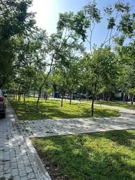 Bán Đất Mặt Tiền Đường Lê Đình Lý View Trực Diện Công Viên - 2