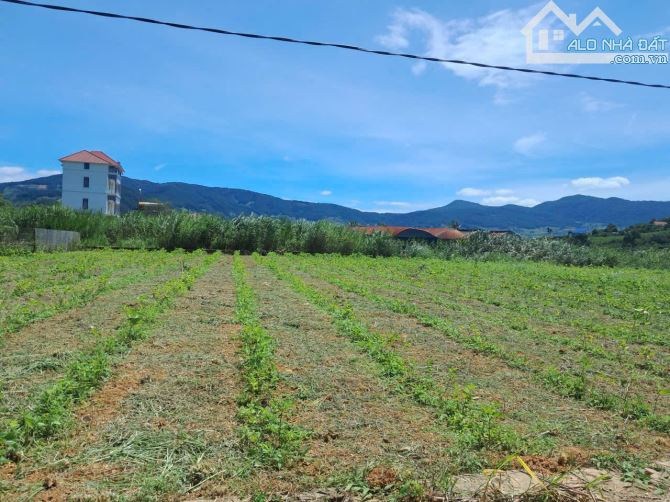 1TY1 CÓ 460M2 NGHỈ DƯỠNG CÁCH TP ĐÀ LẠT 25P - 2
