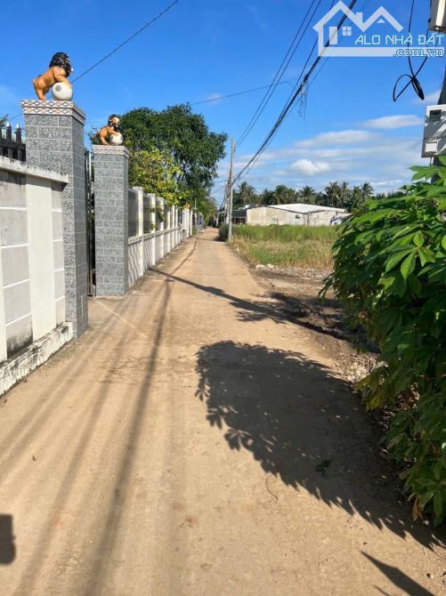 ✅ Bán đất thổ hẽm 79 đường Châu Thị Kim thuộc An Vĩnh Ngãi , TP Tân An _ DT: 5 x 29.3 - 2