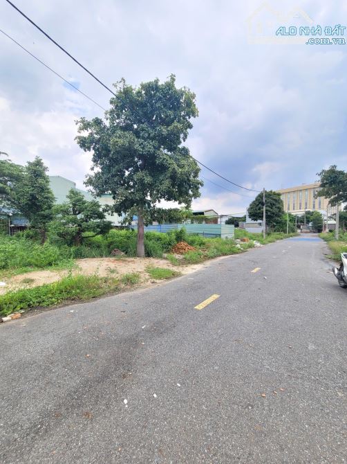 2,65Tỷ TL🔥Bán đất 67,2m2 KDC cách đường Bình Hòa 13 chỉ 50m, p.Bình Hòa, Tp.Thuận An - 2