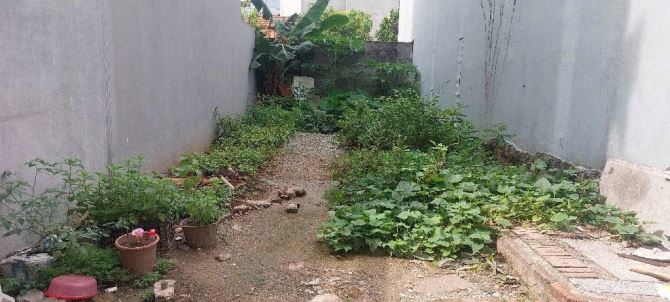 🏡 Bán đất 85m² giá 6.8 tỷ tại Đại Áng – Ô tô vào tận đất - 2