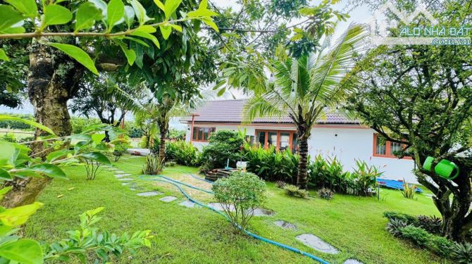 BÁN CĂN NHÀ VƯỜN RỘNG 20M ngay CHỢ LÁNG DÀI GẦN BIỂN LỘC AN. Dt: ngang 20x23m( 460 - 2