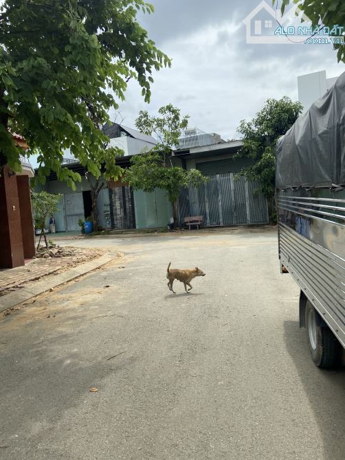 Bán nền 172m(7x24,5) đường nhựa 12m gần chợ đầu mối Thủ Đức sổ hồng riêng hướng Đông Nam - 2