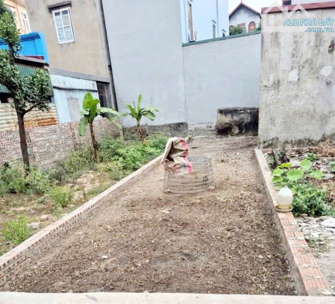 BÁN 51M² ĐẤT TẠI CỔ BI – GIA LÂM- Ô TÔ SÁT NHÀ –  GIÁ CHỈ 4.05 TỶ - THANH KHOẢN NHANH - 2