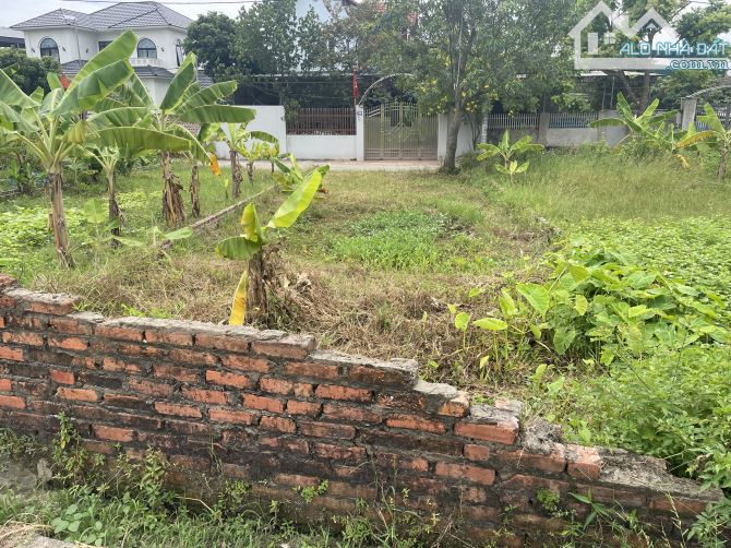 🔥Bán đất lô góc 60m/4.5m Thắng Trí Kim Anh (Minh Trí, Sóc Sơn) 1.x tỷ💥💥💥 - 2