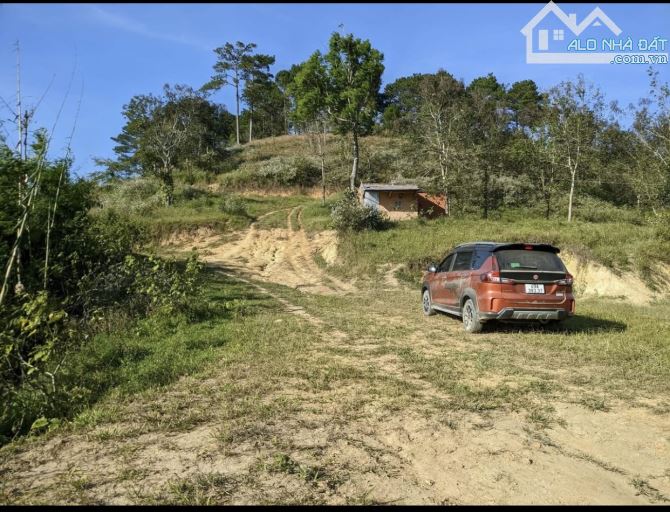 Bán 25.000m2 2.5 heacta Tà Năng ôm suối Lớn  Giá Siêu Re - 2