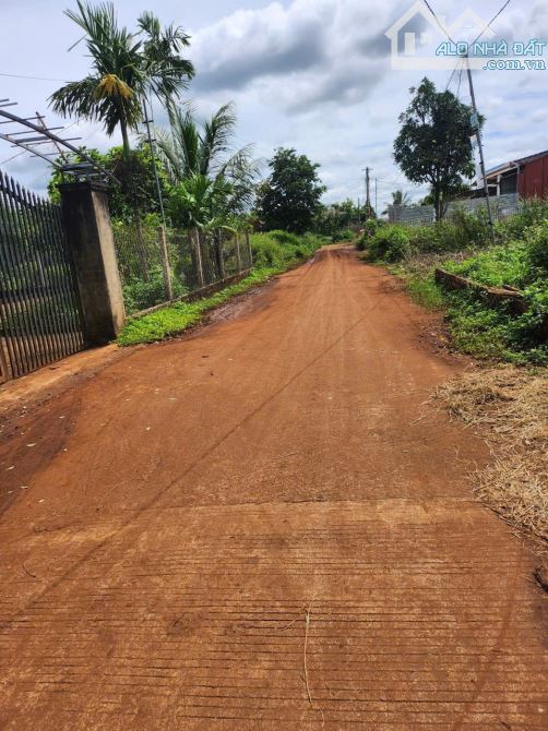 Đất đối diện HimLam -Ninh Hoa - CƯSUE - CƯMGAR  Hẻm cấp 1 tỉnh lộ 8 - 2
