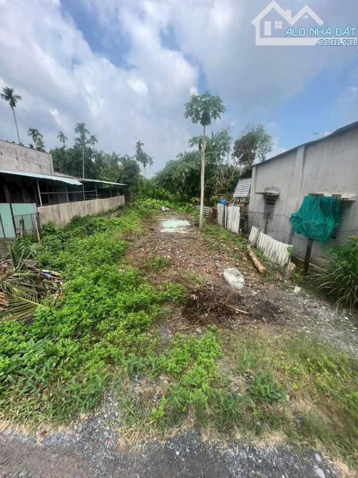 📌 Đất MT View Sông Bình Nhâm – 204m² – Giá 2 tỷ8 🌊🌳 - 2
