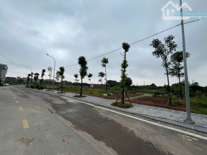 CHỈ 48,5M² NAM HỒNG – LÔ ĐẤT SIÊU ĐẸP – TIỀM NĂNG SINH LỜI LỚN - 2