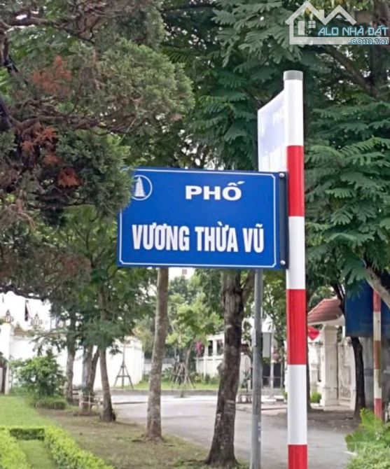 Chủ cần bán gấp lô Biệt thự Vương Thừa Vũ, khu đô thị Thống Nhất, Nam Định - 2