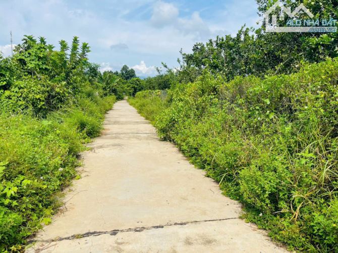 Đầu tư đất 400m² Khánh Đông tách 2 lô, gần TL8 chỉ 499tr bao sổ - 2