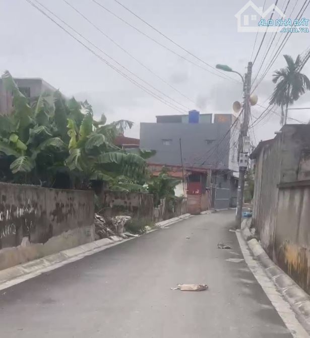 Bán đất Biệt Thự lô GÓC đường nhựa tại Hạ Đoạn 3, Đông Hải - Giá Đầu Tư - 3