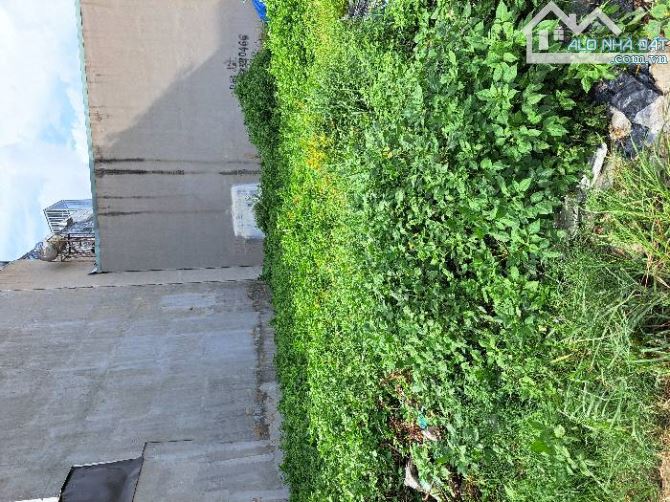 Bán đất Thổ Cư 340m² đường THẠNH LỘC 37, phường THẠNH LỘC, Q12, (ngang 8 dài 33). giá 8,4t - 3
