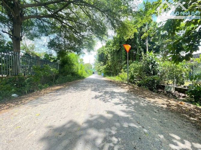 Đất bán mặt tiền nhựa cách Nguyễn Thị Lắng 100m dân cư đông 5x31 tổng 156m2 full thổ cư - 3