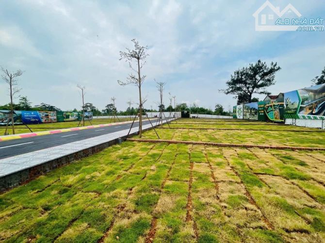 💰 Đất Cổ Đông – Điểm nóng đầu tư Hòa Lạc – lợi nhuận bền vững 💰 - 3