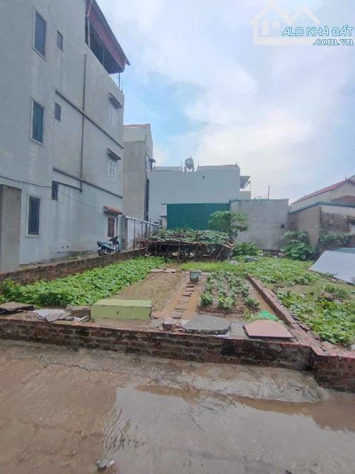 Bán 48m2 đất Thiên lộc Đông Anh, mặt ngõ ô tô chỉ 3.3 tỷ - 3