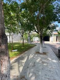 Bán Đất Mặt Tiền Đường Lê Đình Lý View Trực Diện Công Viên - 3