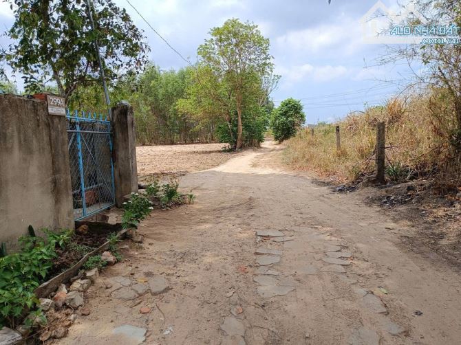 Bán gấp đất nhà vườn Nhơn Trạch giá rẻ, MT đường Phú Mỹ 2. SR chính chủ.GỌI NGAY 24/24H - 3