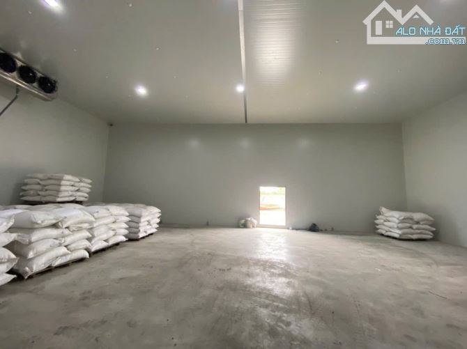Cho Thuê Xưởng Trạm Thu Phí Thiện Tân 65trieu - 3