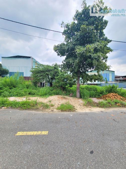2,65Tỷ TL🔥Bán đất 67,2m2 KDC cách đường Bình Hòa 13 chỉ 50m, p.Bình Hòa, Tp.Thuận An - 3