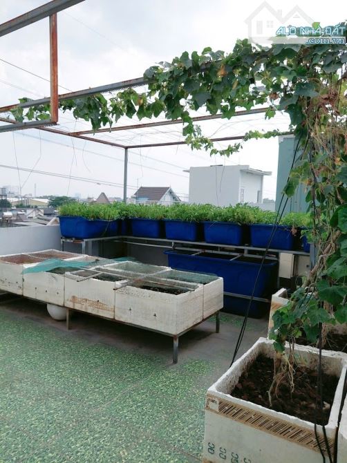 NHÀ Ở NGAY 3 LẦU, 5x20, SÂN THƯỢNG, TRUNG TÂM BÌNH CHUẨN, NHỈN 4 ĐỒNG TL - 3