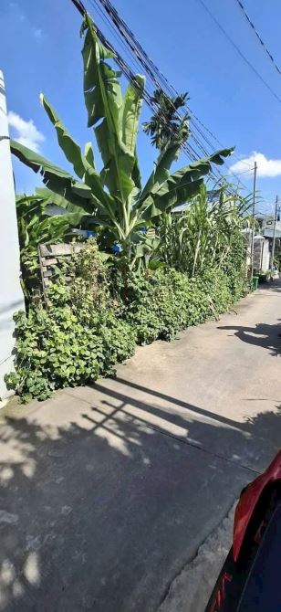 🚘CHỈ 3,1 TỶ,   ĐẤT AN THẠNH 15  NGANG 10M, DT 200M2– ĐƯỜNG Ô TÔ 🚘 - 3