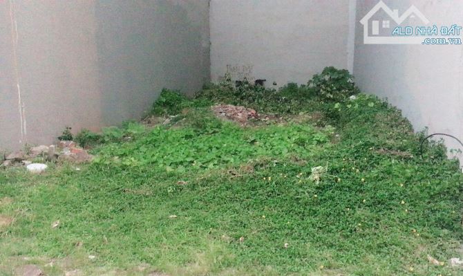 Bán Đất Ngõ 344 Ngọc Thụy, Long Biên, 36m2, MT4m, Phân Lô, Ô tô, Gần Phố, Nhỉnh 7 tỷ - 3