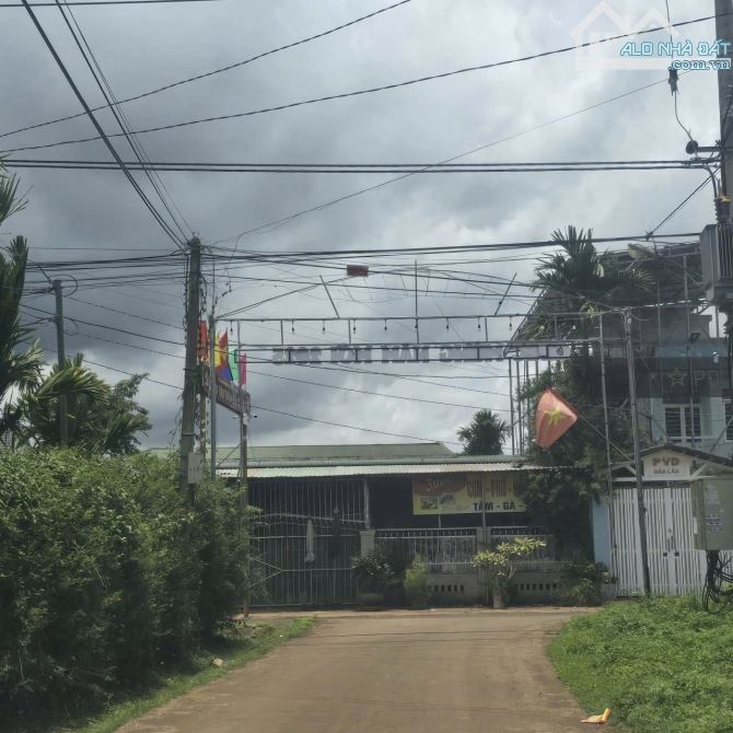 ĐẤT EAKMAT KM12 HOÀ ĐÔNG ĐẤT CÁCH TRỤC CHÍNH HÒA ĐÔNG CHỈ 200M - 3