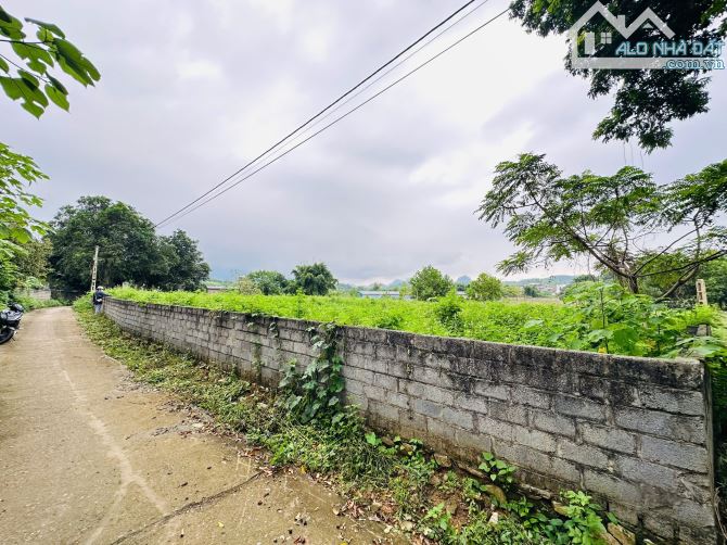 SIÊU PHẨM 1410m2 - MT50m - PHÂN LÀM 8 LÔ TỐT - VIEW CÁNH ĐỒNG - CÁCH ĐƯỜNG LIÊN XÃ 300m - 3