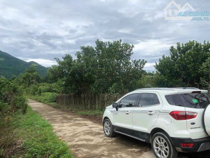 Đầu tư đất 400m² Khánh Đông tách 2 lô, gần TL8 chỉ 499tr bao sổ - 3