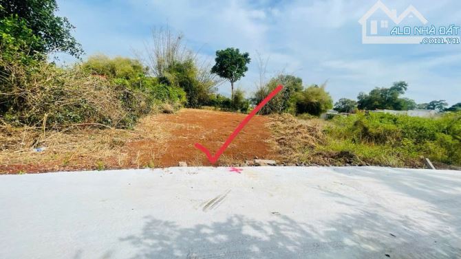 485m2 Đất Xã Đất Đỏ Ngay Gần Trung Tâm Hành Chính 💰Giá Chỉ 1,7 Tỷ  📐Dt: ngang 7.3x38m - 4