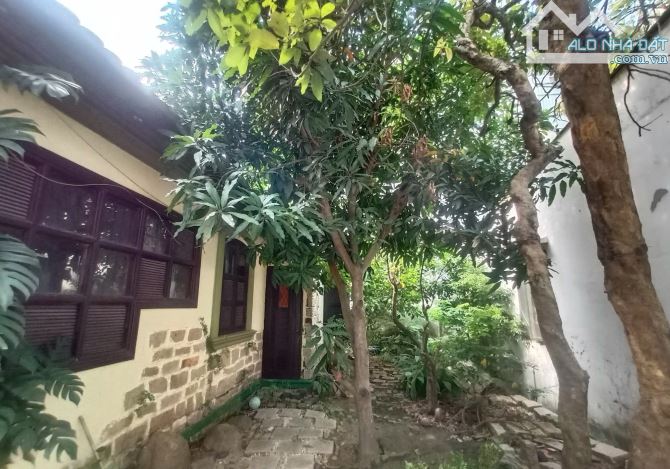 Q7 BIỆT THỰ CỔ SÂN VƯỜN KHUÔN VIÊN RỘNG GẦN 500M2 PHÙ HỢP KHÁCH MUA GIỮ TIỀN - 4