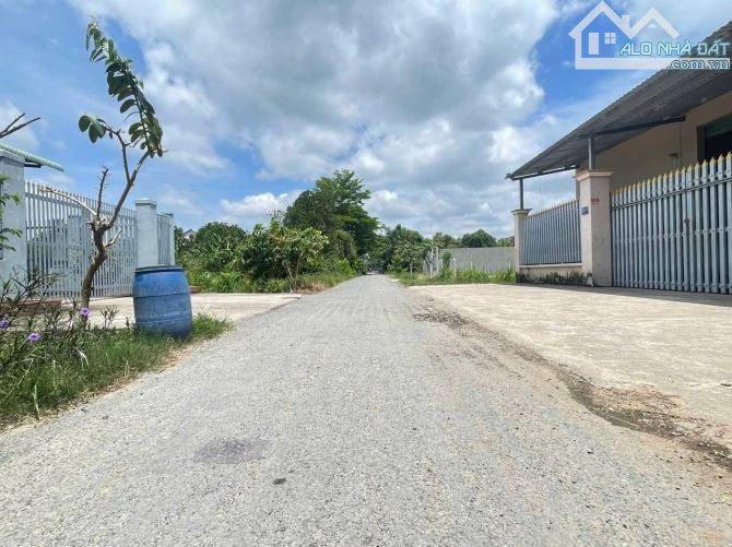 Đất bán mặt tiền nhựa cách Nguyễn Thị Lắng 100m dân cư đông 5x31 tổng 156m2 full thổ cư - 4