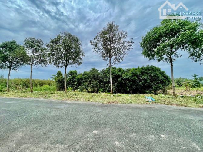 Bán 3847m2 Đất 2 mặt tiền, ngay trung tâm thị trấn Ngã Sáu, Hậu Giang cũ - 4