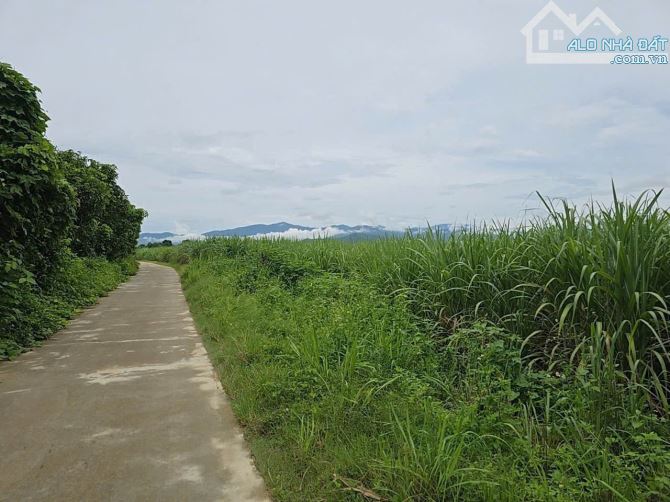 💥Mở b.án cụm 14 lô đất vườn Diên Đồng – gần sông Cái, mát mẻ – g.iá chỉ từ 209 triệu/lô💥 - 4