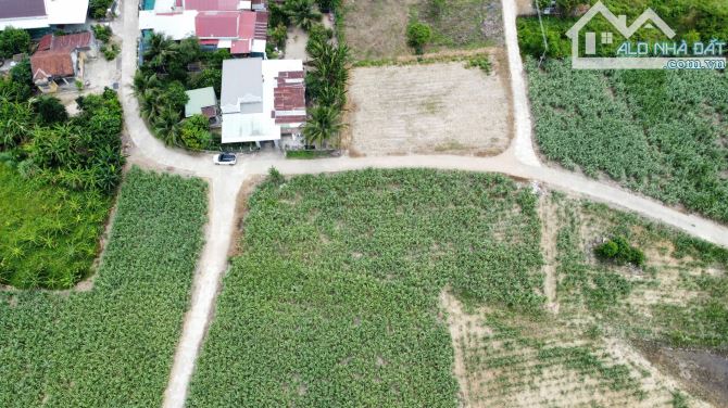💥B.án nhanh 2 lô đất vườn Diên Lâm (Diên Đồng) ngay khu bàn cờ dân cư - 1138m2💥 - 4
