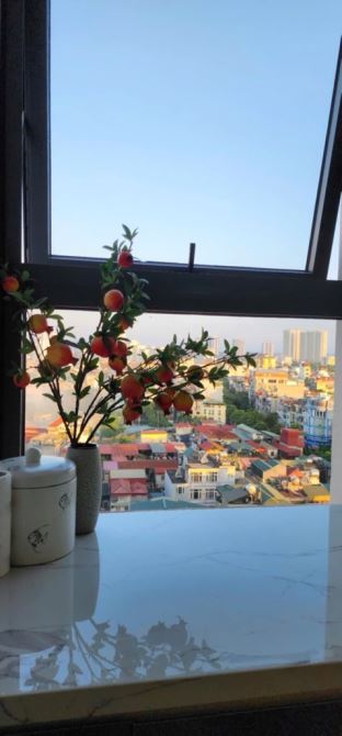 Chung Cư FELIZ HOMES HOÀNG MAI - 4