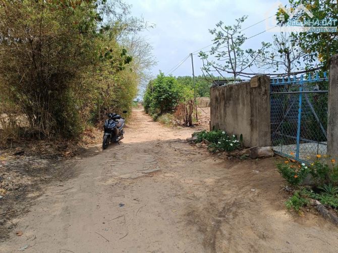 Bán gấp đất nhà vườn Nhơn Trạch giá rẻ, MT đường Phú Mỹ 2. SR chính chủ.GỌI NGAY 24/24H - 4